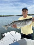 Lake Sidney Lanier Striper Club